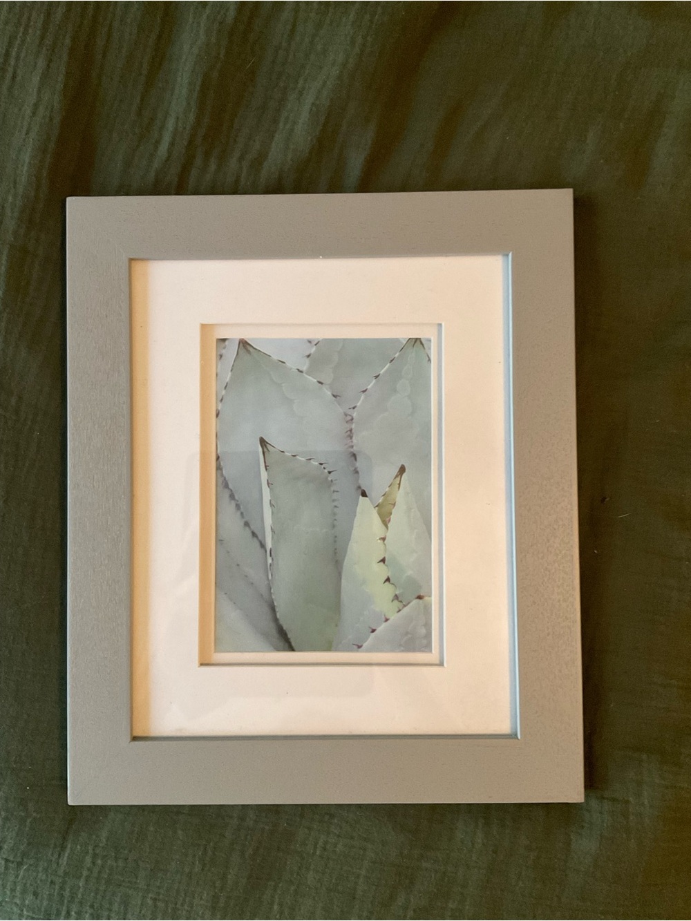 Framed Cactus Neutral Gray Framed Succulent Art Print 10”x12”